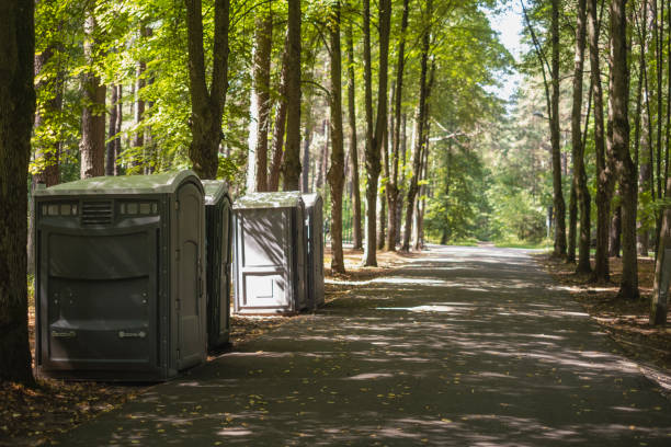 Best Local porta potty services  in Bono, AR